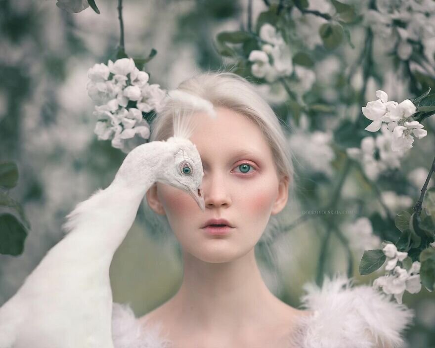  Instagram | en.dobrovolskaia.com | Facebook