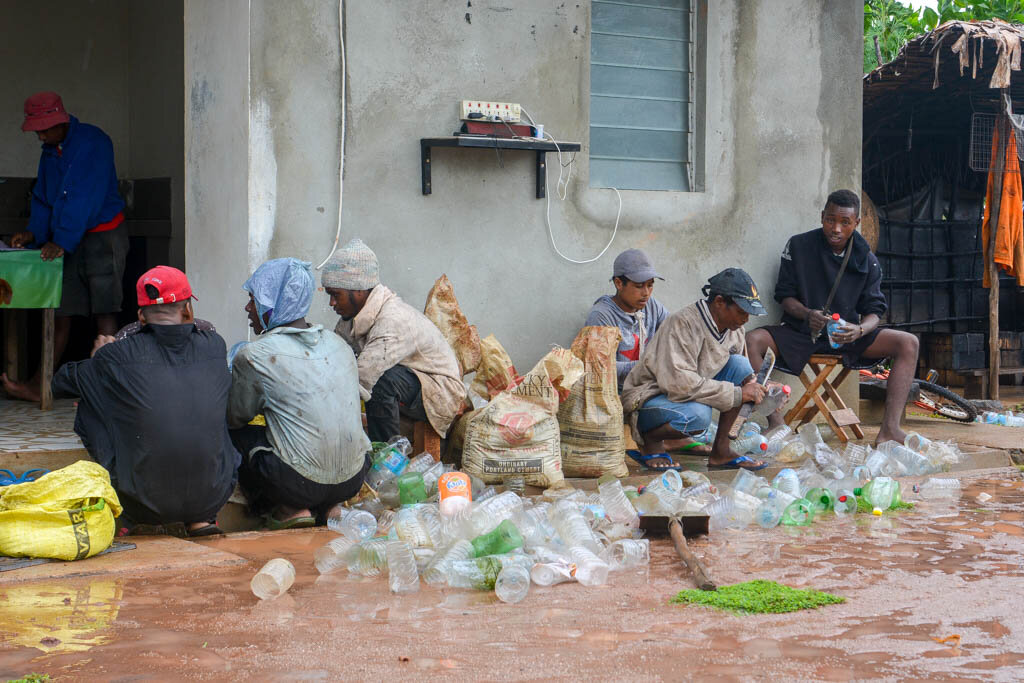 2. Дождь обложил. Все работы на плантации остановили и решили воспользоваться моментом, чтобы посадить семена гвоздики.