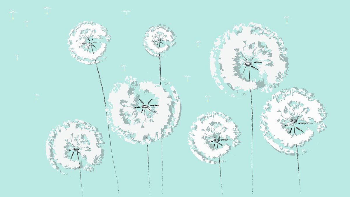 Вектор. Работа в иллюстраторе.