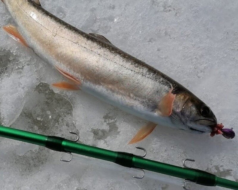 Фото https://www.instagram.com/p/CMqzpoSMUGK/