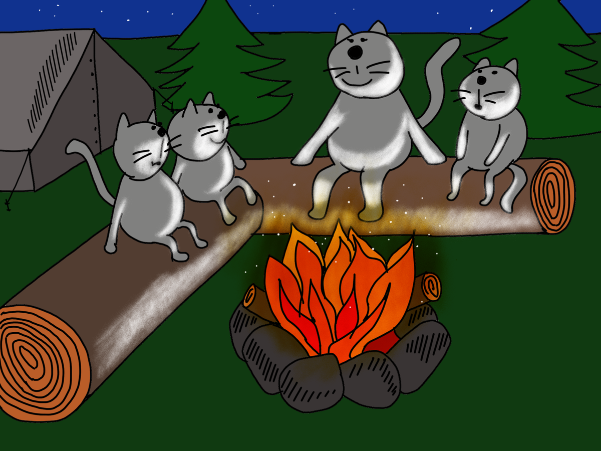 Устроились на ночлег у костерка и начались истории