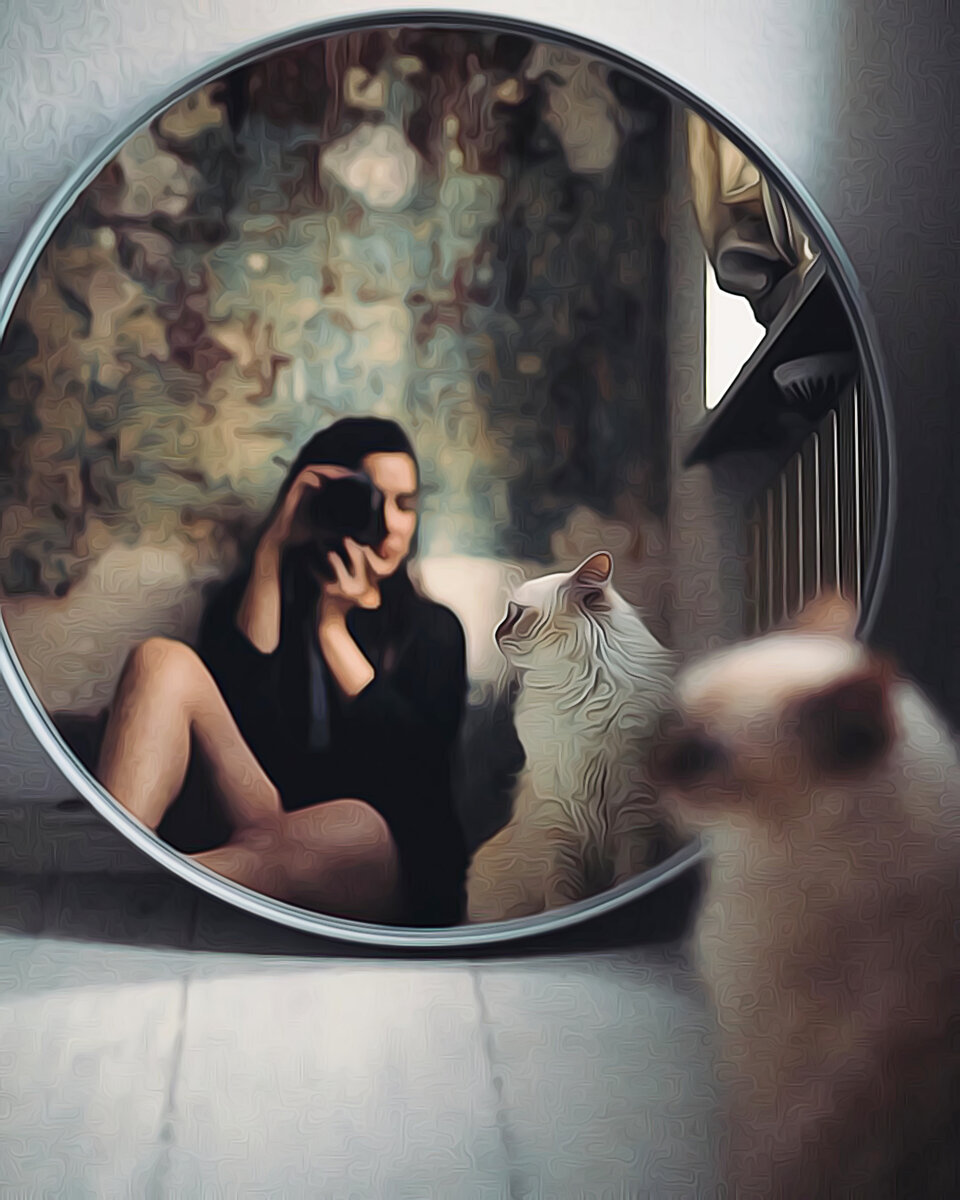 Картинка из открытых источников yandex.ru/images