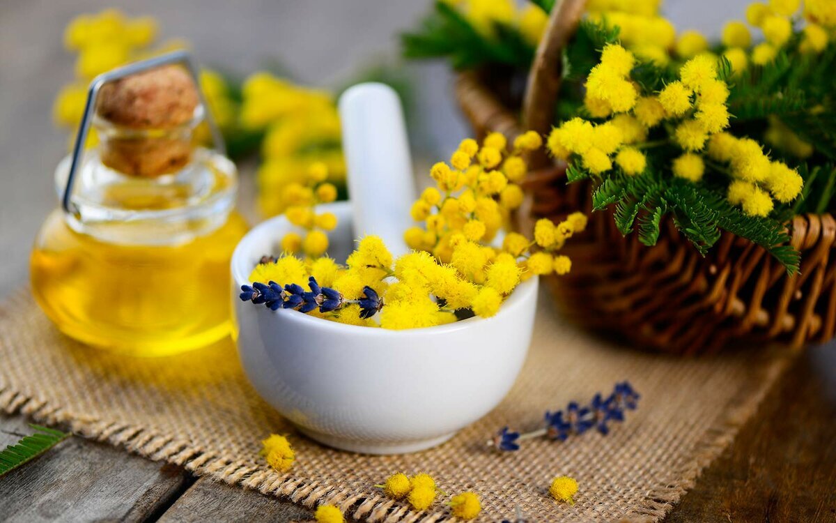 https://avatars.mds.yandex.net/get-zen_doc/1246934/pub_5c764ae78cbda400c2d14880_5c764bd74662f700ccc594c9/scale_1200