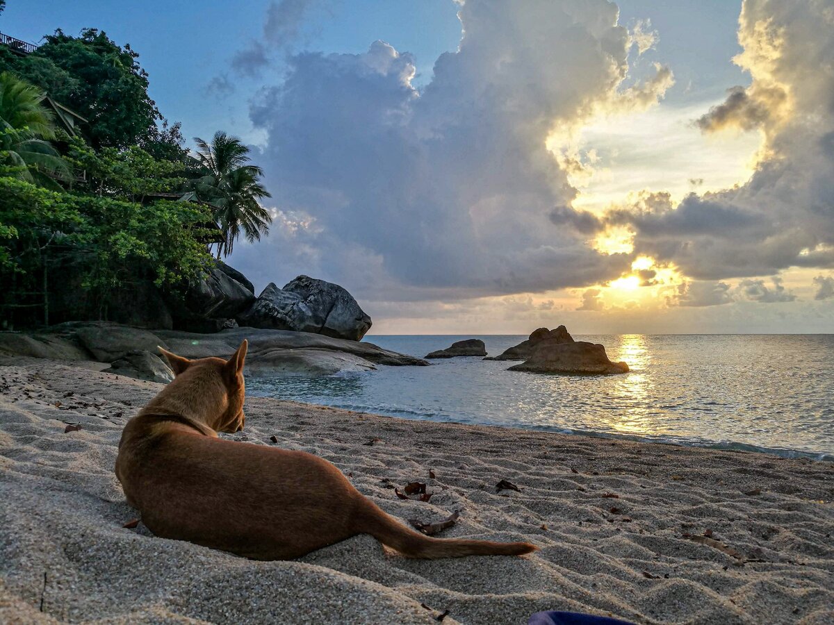 Ради такого рассвета и в 5 утра встать не лень!