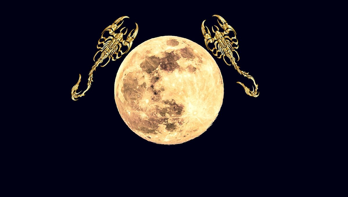 Изображение с сайта pixabay.com
