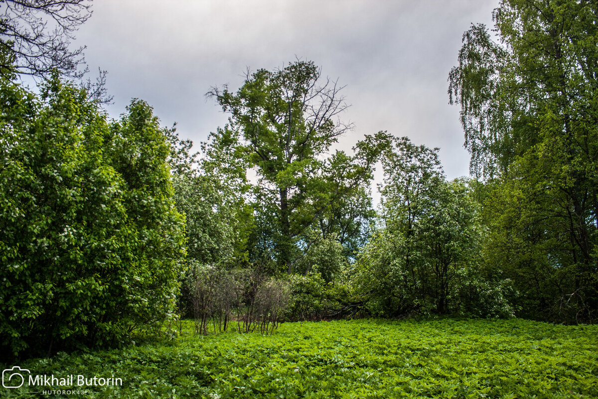 Весенние заброшенные огороды. 