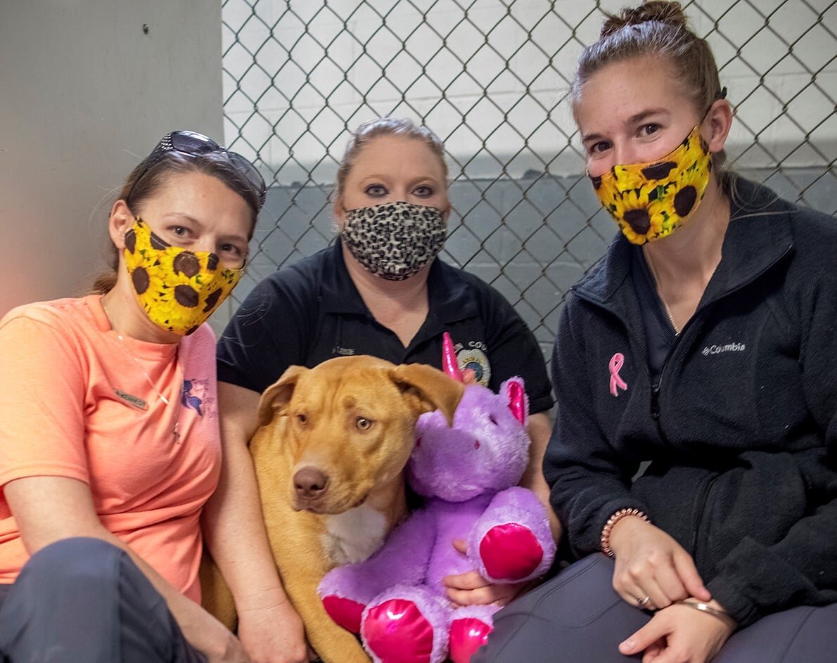 Жителей района: