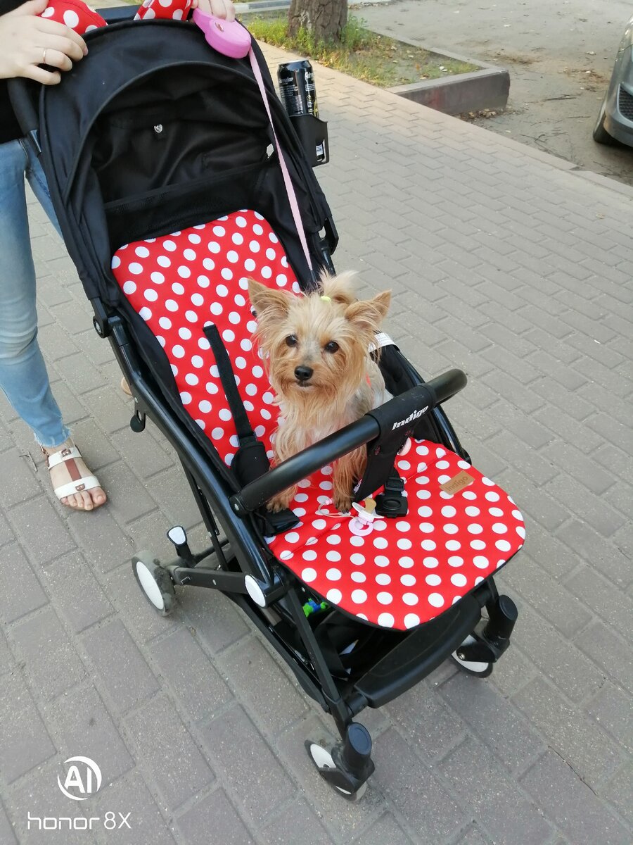 ездили в гости