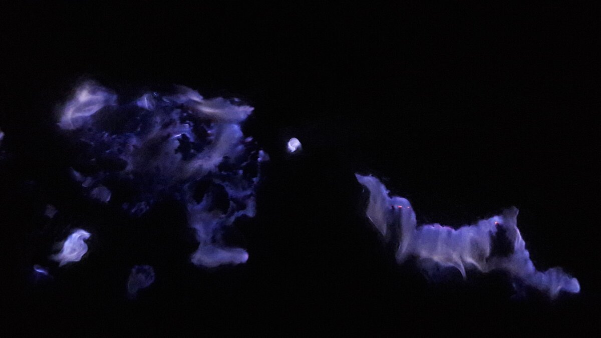 Синие пламя Вулкана Иджен с другой стороны.