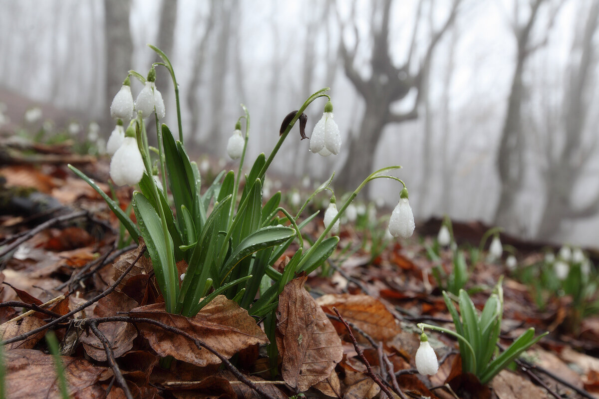 Фото с сайта tvoy-goroskop.ru