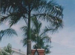 Куала-Лумпур, личное фото