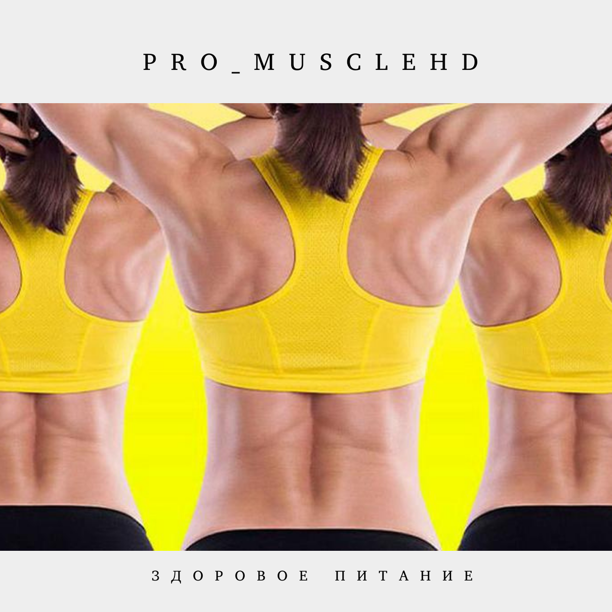 Pro_MuscleHD