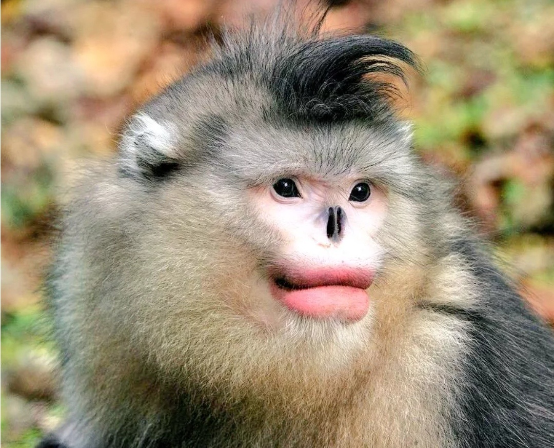 Данное фото использовано из сети интернет