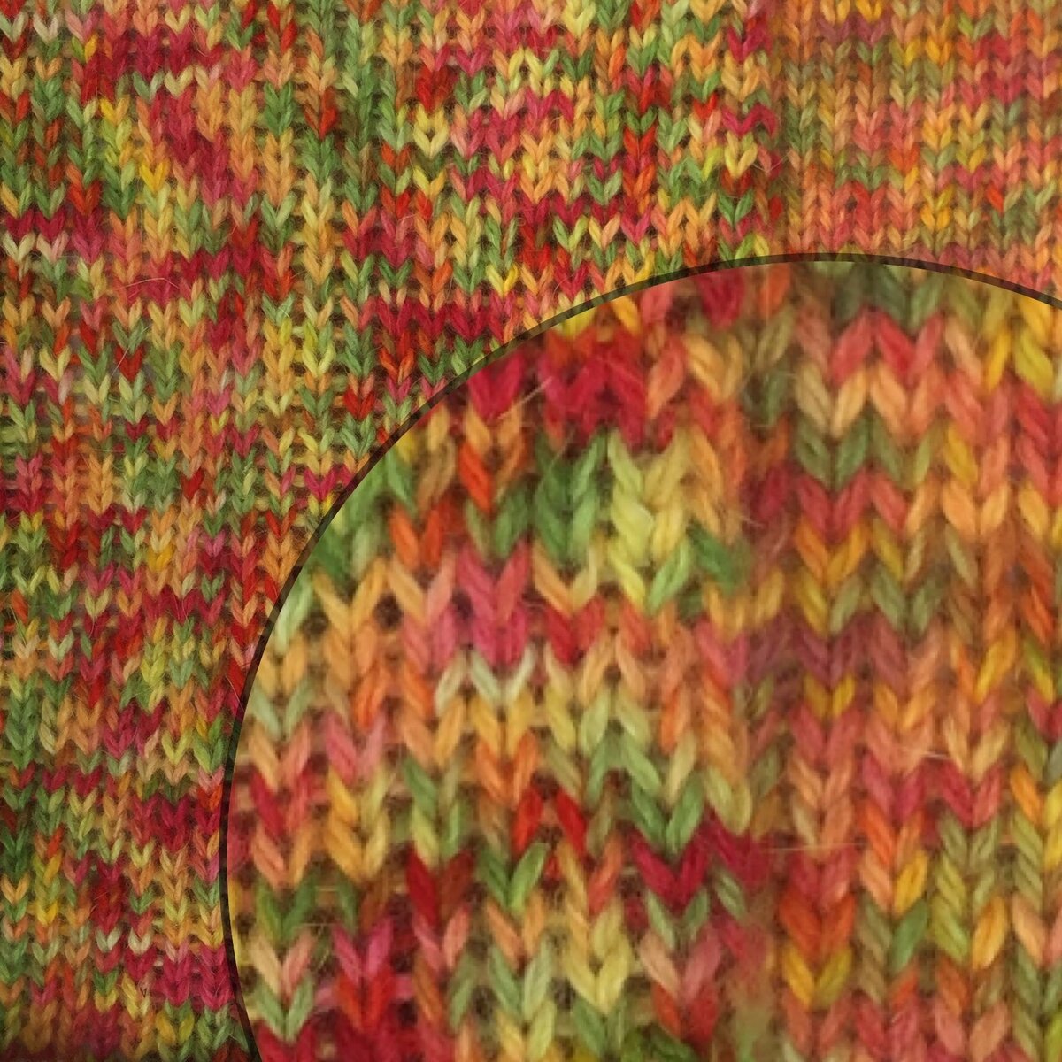 фото Лады Кирисенко с форума Fermer.ru ©