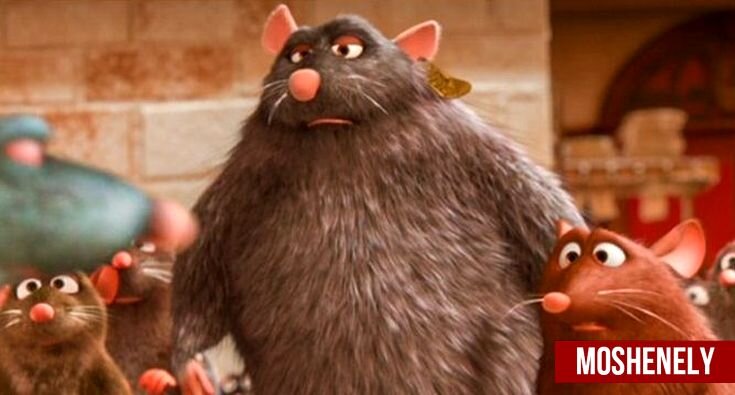 Все изображения использованные в этой статье были взяты с сайта Adme.ru и принадлежат их авторам. 