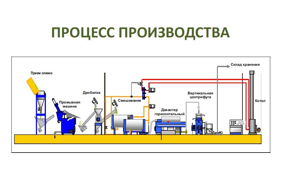 Картинка Оливагифт. Современный процесс производства оливкового масла.