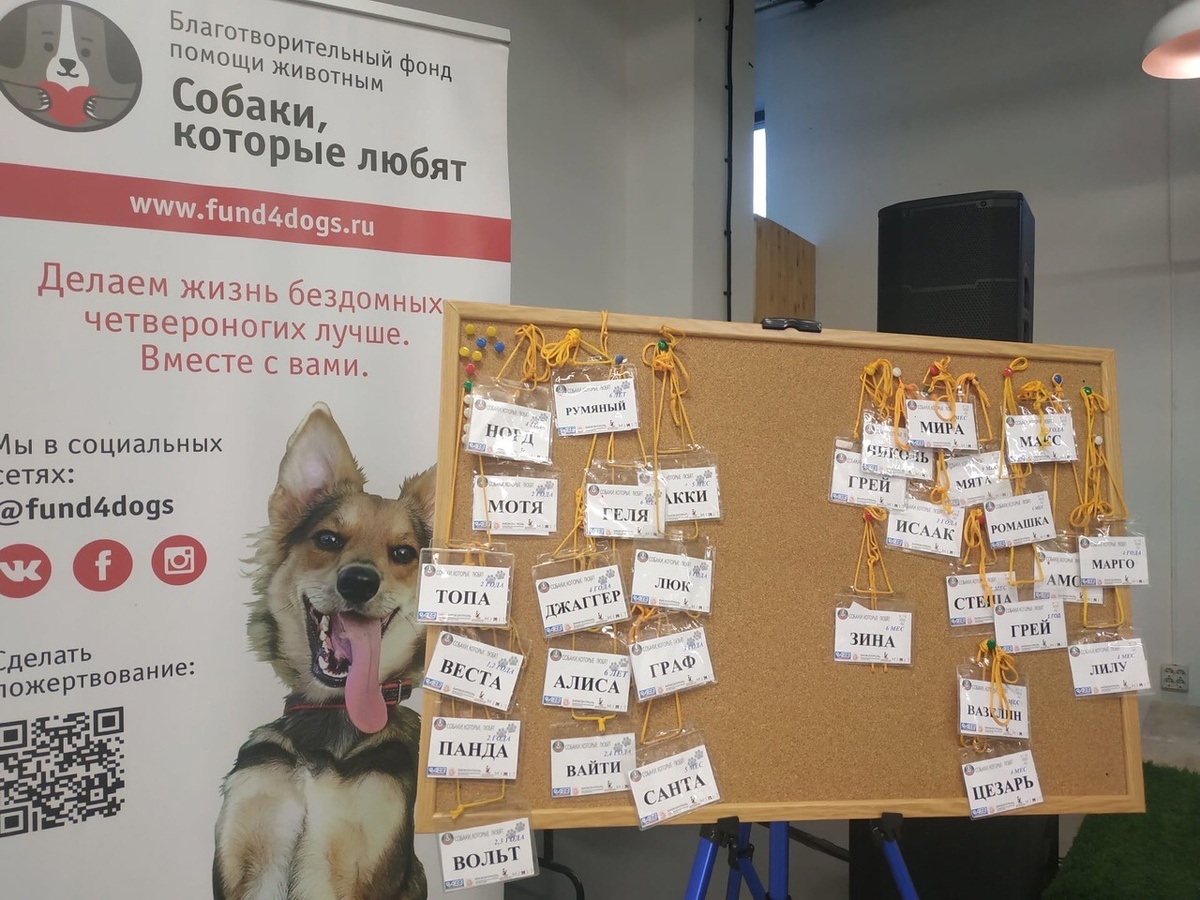 Наши счастливчики