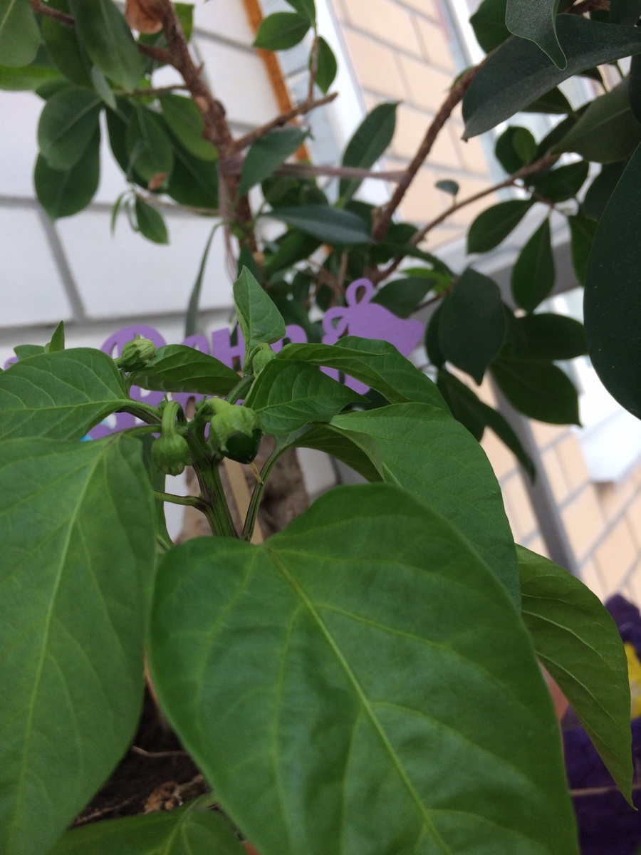 фото из личного архива