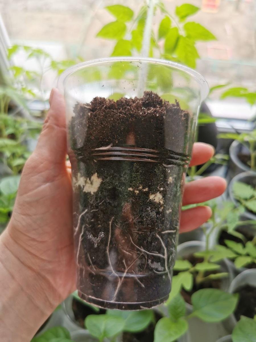 Для меня это пока все ново