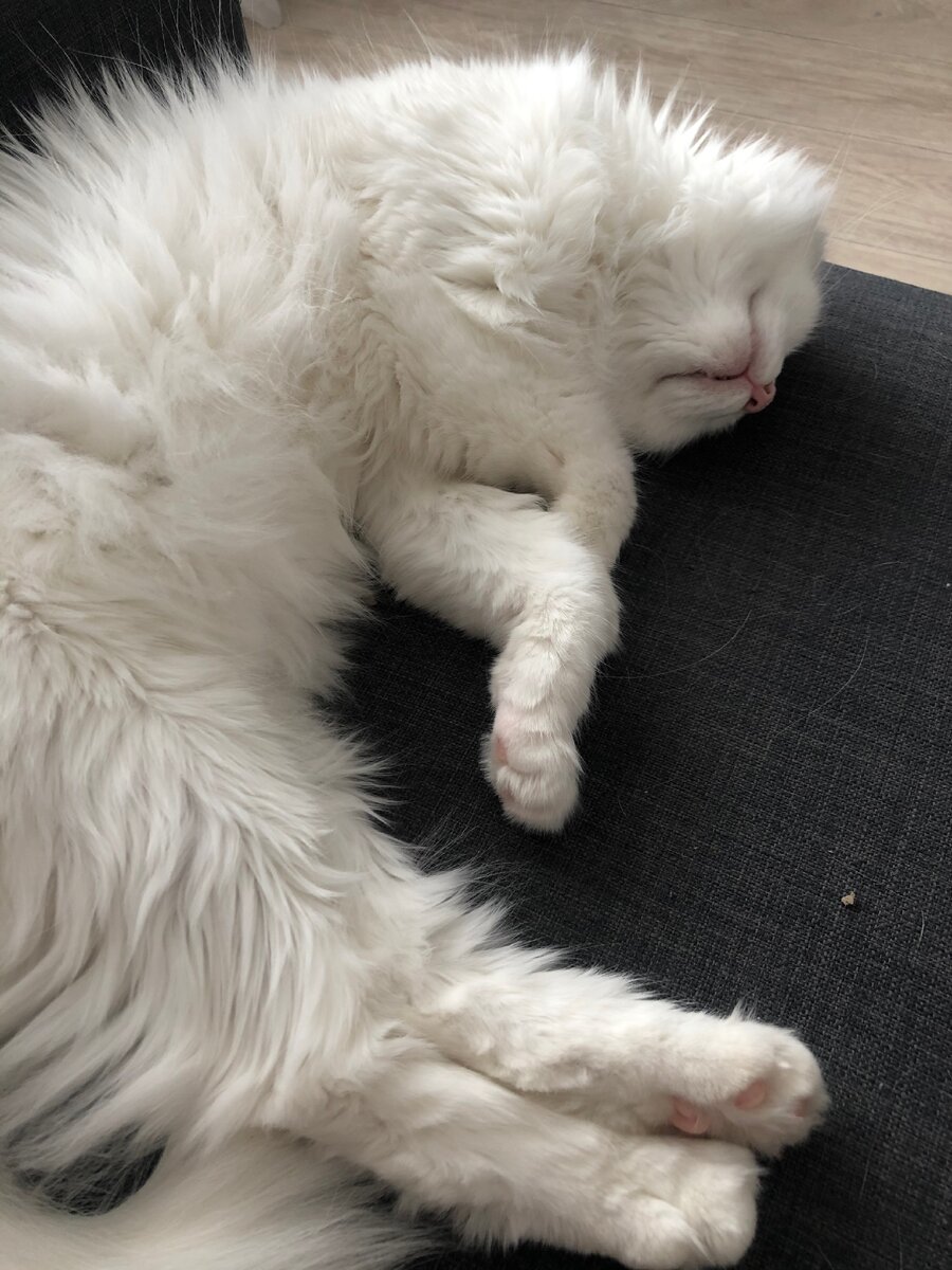 Сейчас потечёт слюнка во сне