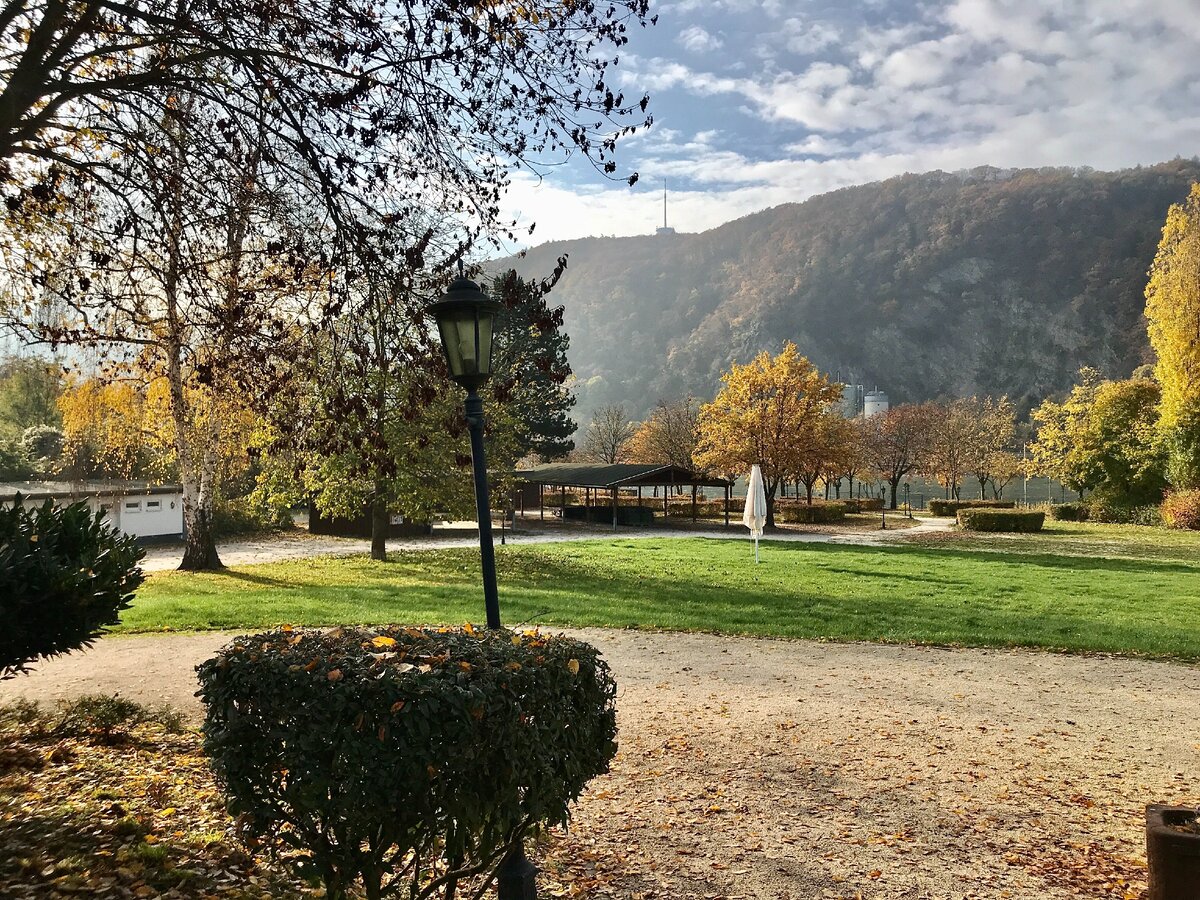 Это очень красивый парк в городе Кобленц, фото сделано с террасы баварского ресторана Максимилианс, где мы обедали