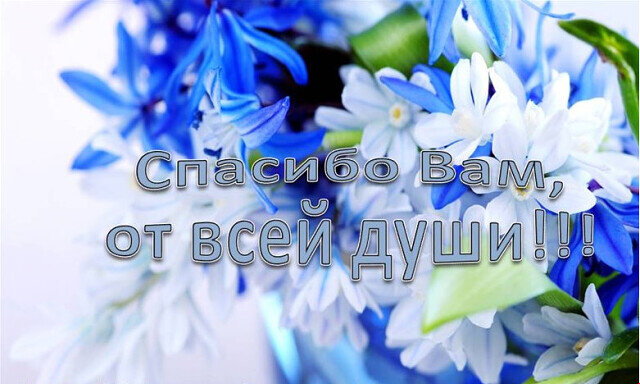 с просторов интернета