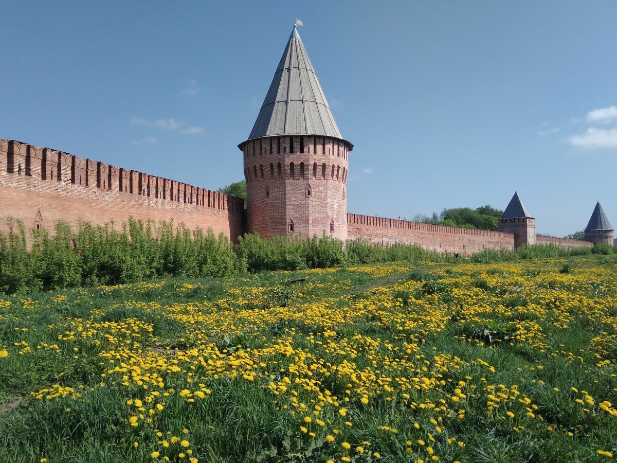 Смоленская крепость