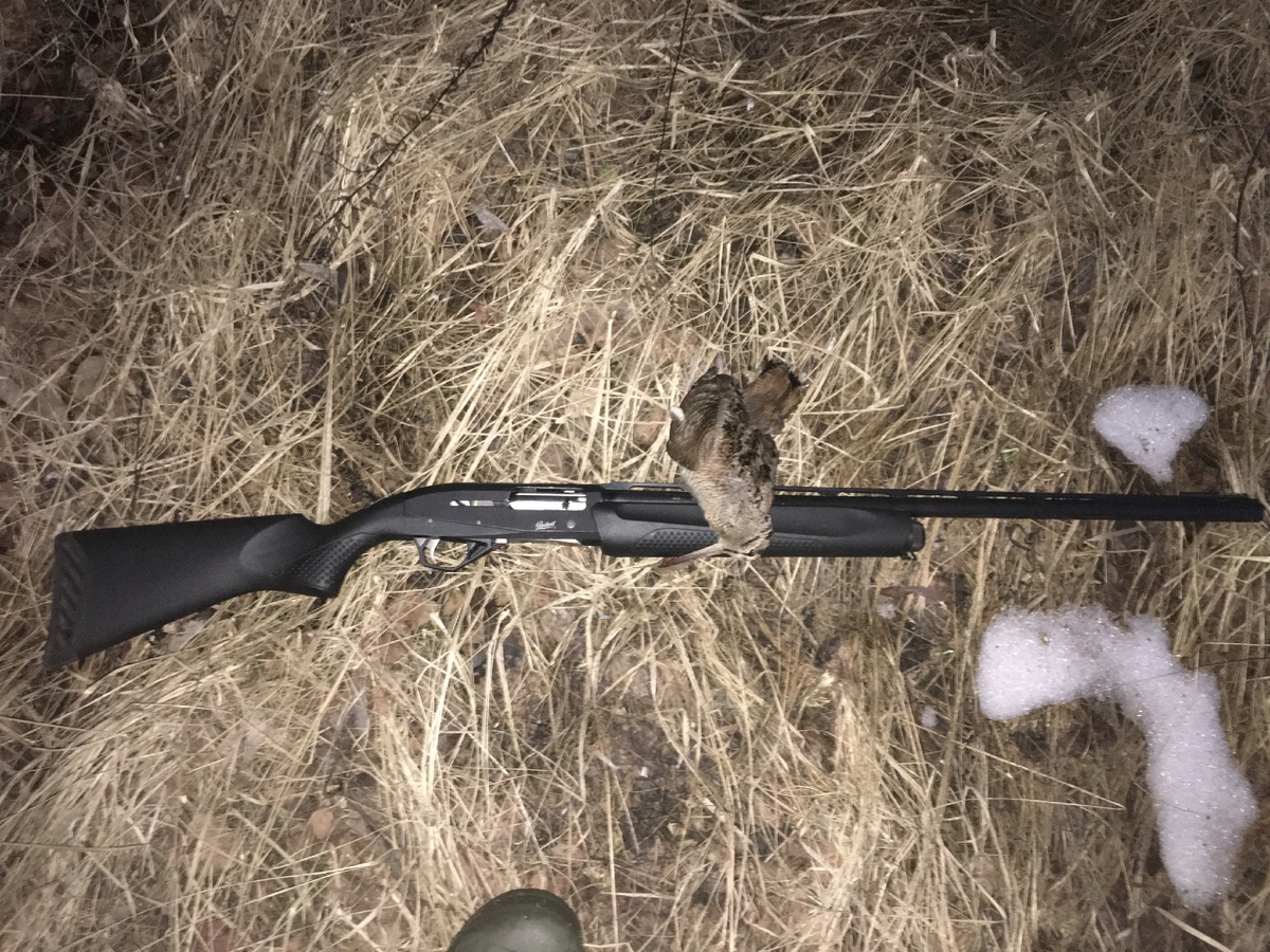 Фото второго дня