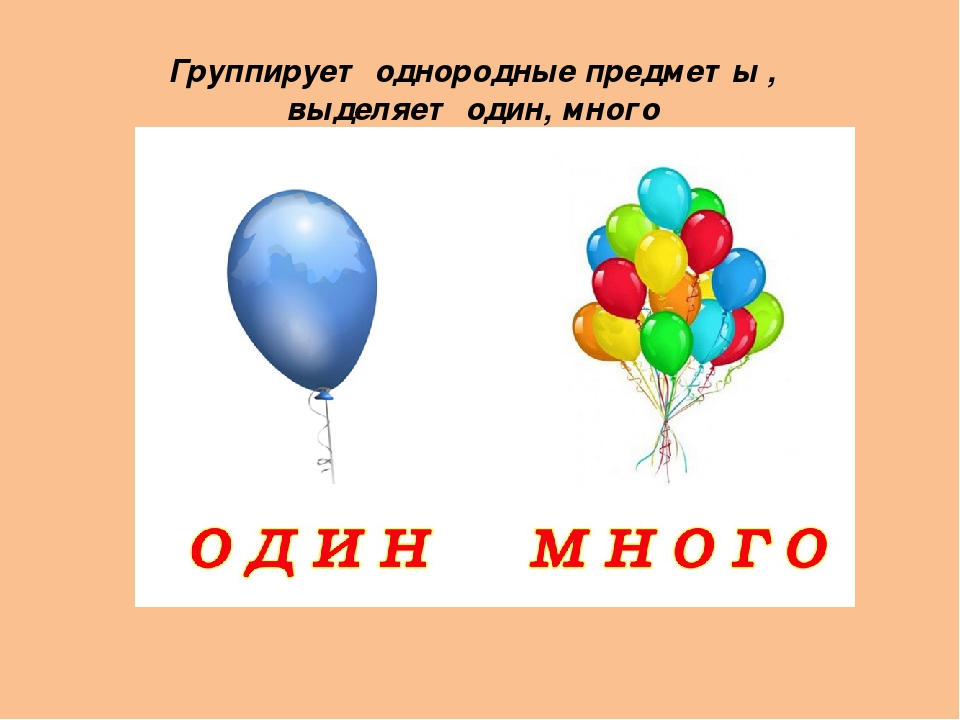 Однородные предметы. Один предмет много предметов. Группы однородных предметов. Понятие много мало. Учим один много предметов.