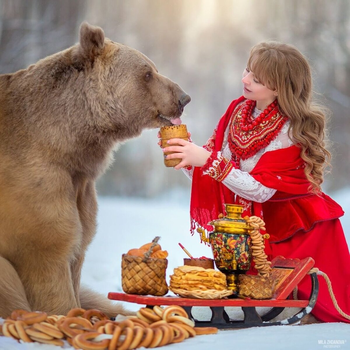 Новые анекдоты про русских медведей
