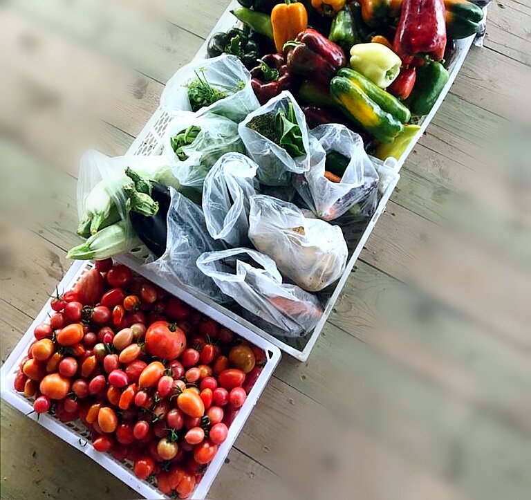 Фото из личного архива 