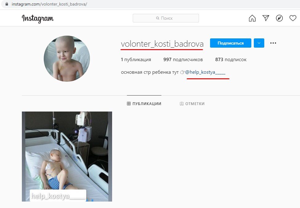 Скриншоты страницы псевдоволонтера