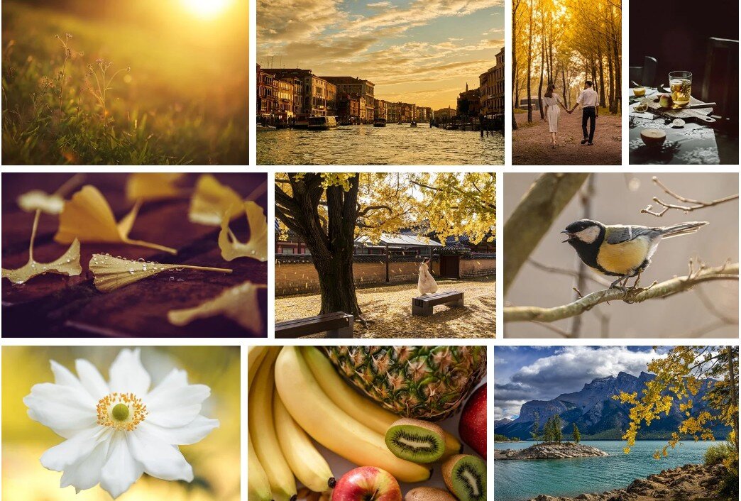 скрин: pixabay.com