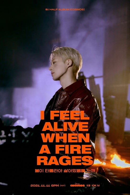 Постер от B.I / Фото = IOK