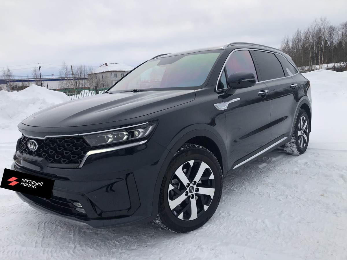 Фото моего подопытного