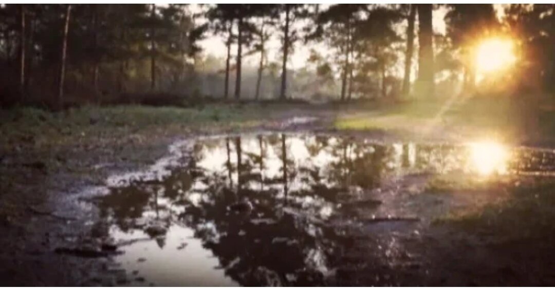 Фотография взята для иллюстрации