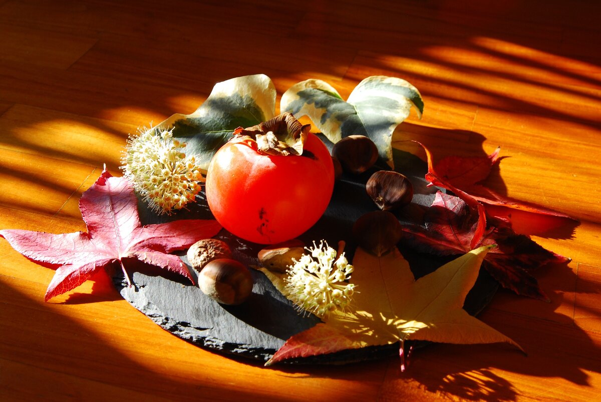 Фото с pixabay.com