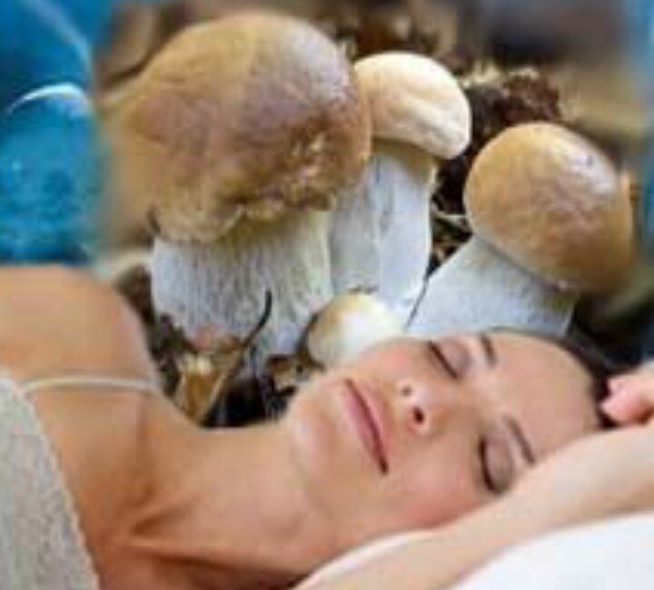 Лучше смотреть сны со сьедобными грибами