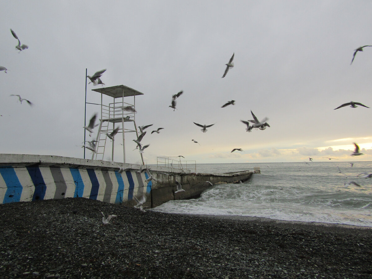 Зимний пляж