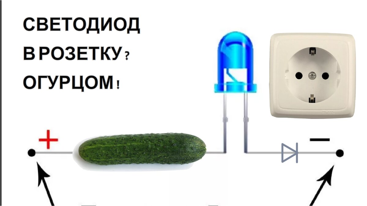 розетка у огурца