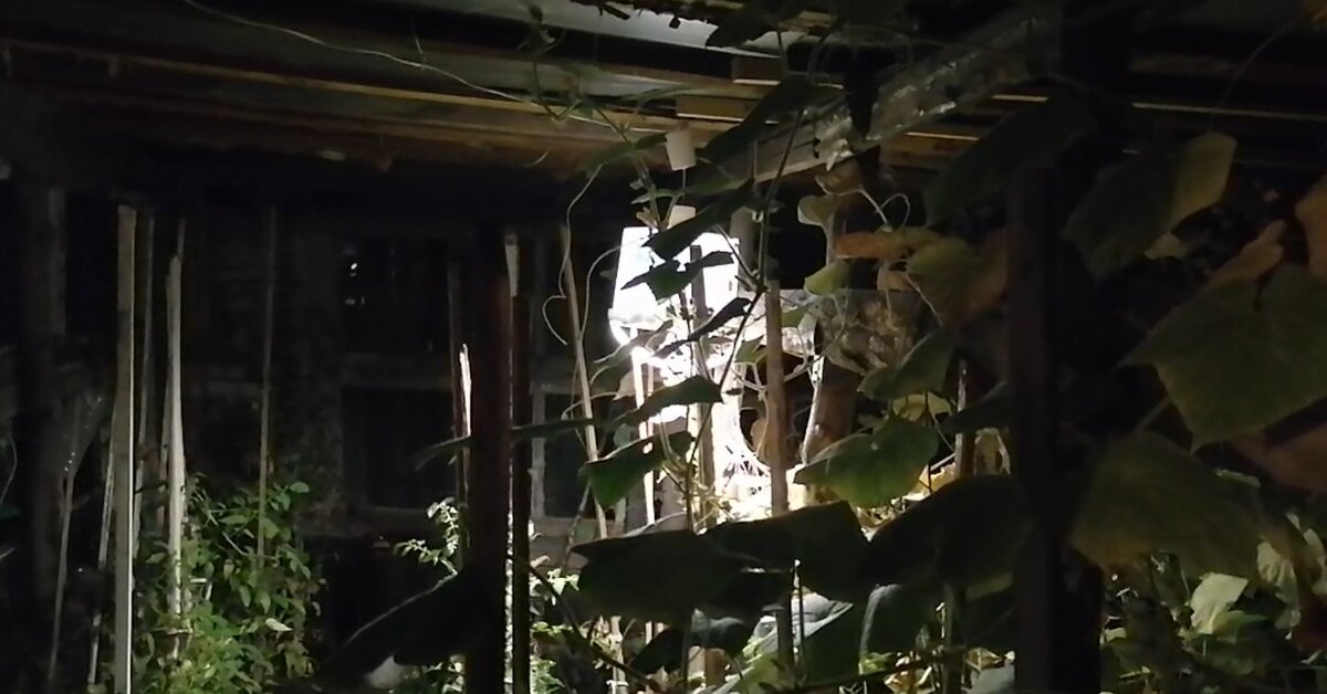 Светильник в теплице