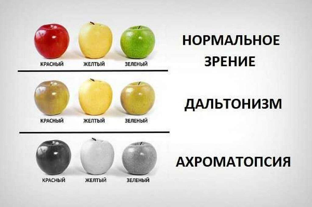 Чем можно отличаться. Полная цветовая слепота. Полная цветовая слепота — ахромазия. Дальтонизм ахроматопсия. Дальтонизм и нормальное зрение.