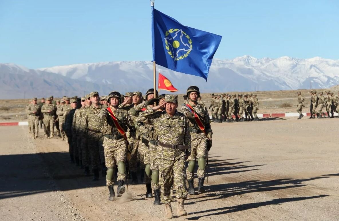 Безопасность центральной азии. Сельское хозяйство и пандемия. Исламская партия туркестана флаг. Политический ислам в центральной азии. Безопасность азии.