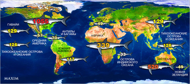 Где живут акулы карта - 97 фото