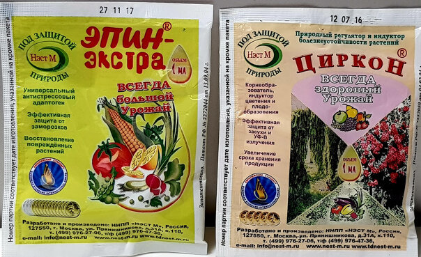 Фото из интернета