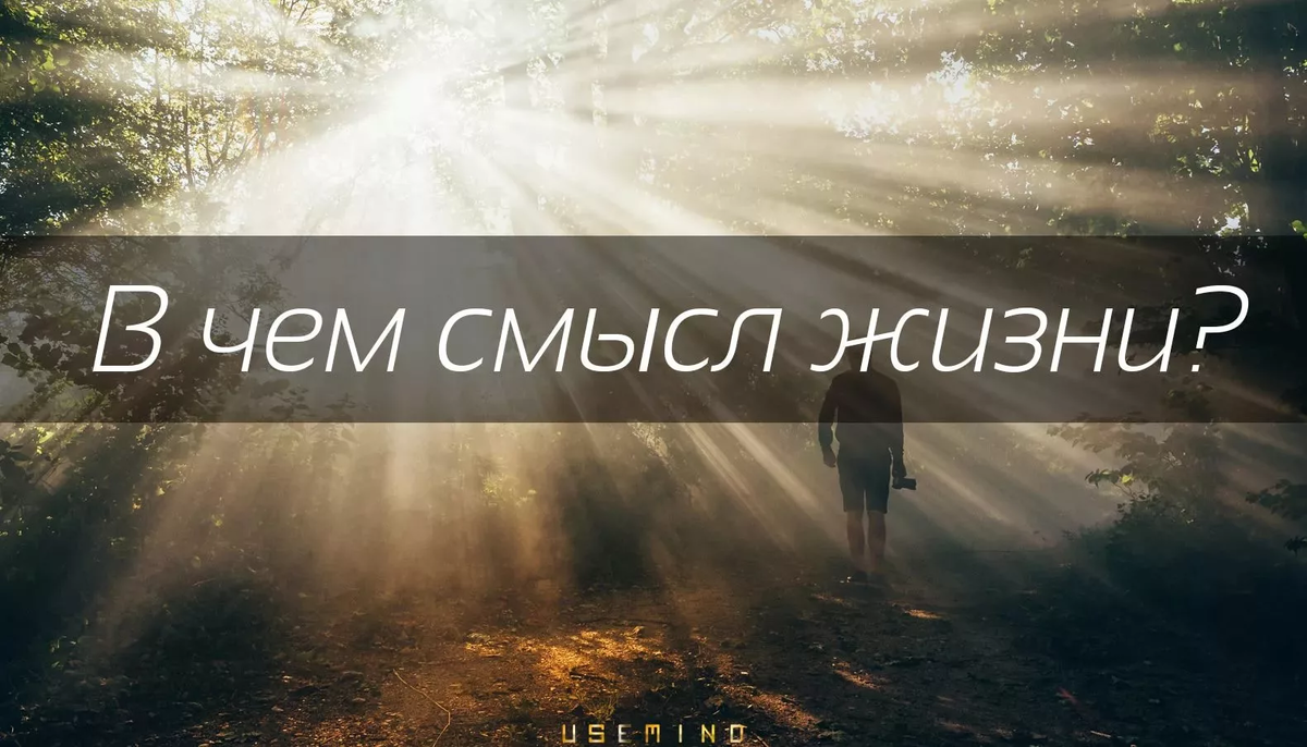 Фото из открытых источников.