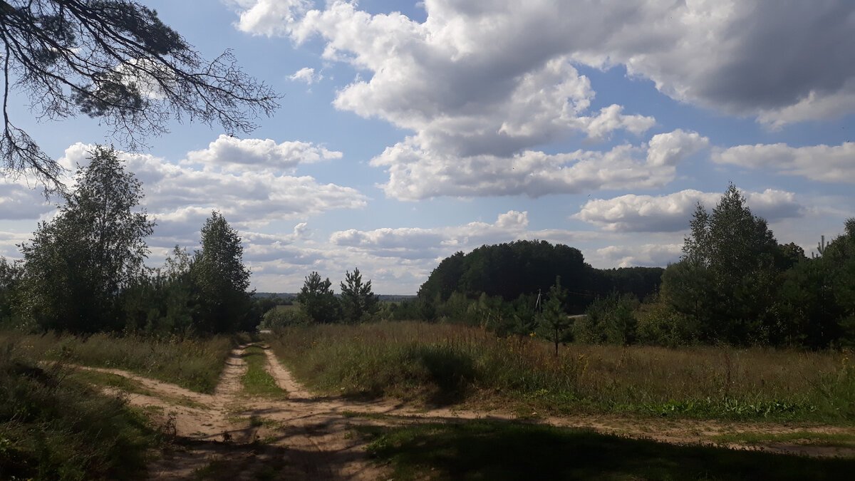 Сюда поедем!