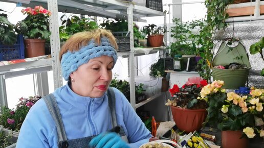 Светлана Лодисад