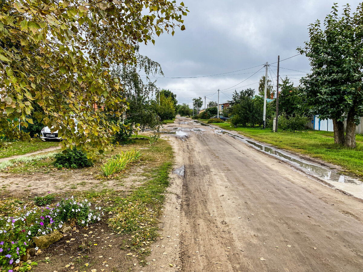 Город Урюпинск. Памятник козе и улицы, где совсем нет дорожного покрытия |  Прекрасное рядом | Дзен