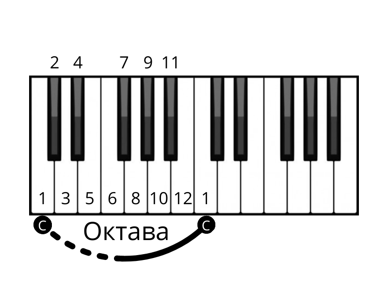 Октава делится на 12 равных полутонов от ноты С до ноты С (от ноты D до D и тд)